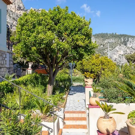 Luxury Blue Orchid 5Bd 5 Bath And Beach * Eze